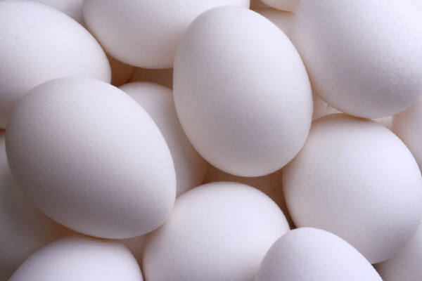 eggs